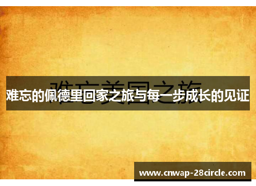 难忘的佩德里回家之旅与每一步成长的见证 难忘的佩德里回家之旅与每一步成长的见证