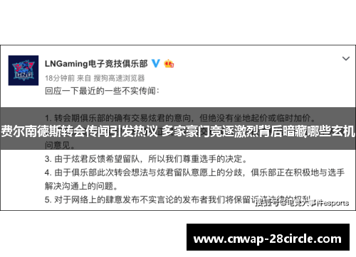 费尔南德斯转会传闻引发热议 多家豪门竞逐激烈背后暗藏哪些玄机