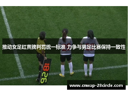 推动女足红黄牌判罚统一标准 力争与男足比赛保持一致性